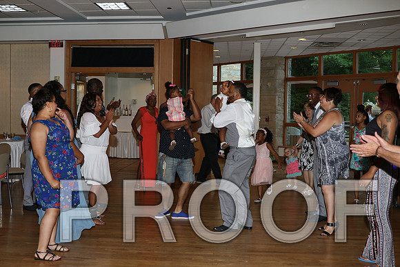 IF6A2761 / The Wedding Reception - Let the Party start