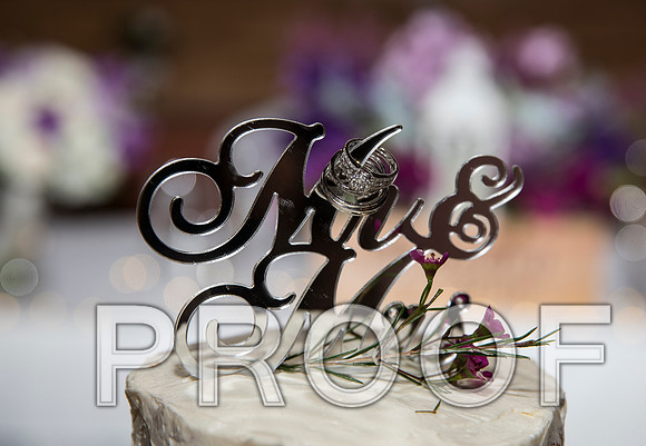 8L2A5988 aaa Wedding - Reception with Family and Friends