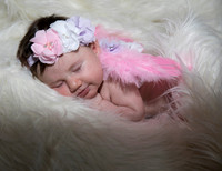 Emily Newborn Photo Session