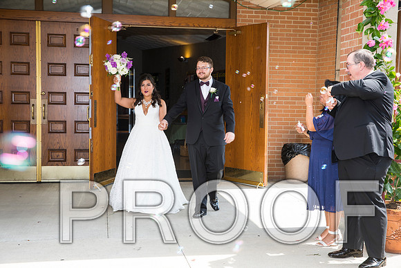 8L2A5697 aaa Wedding - Cheers to the Bride and Groom