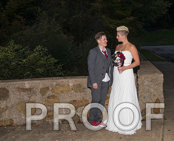 8L2A3587 aaa Wedding Photos - the bride and groom along with the bridal party