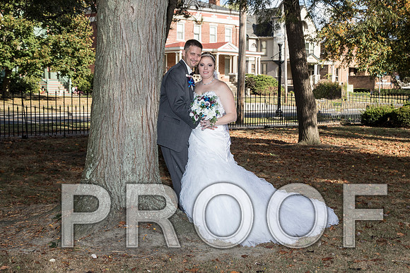 IF6A8273 aaa Wedding - Bride and groom with bridal party