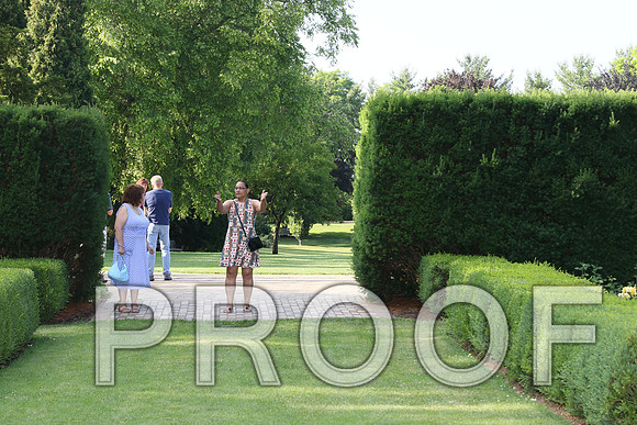 IF6A1208/The Wedding Rehearsal