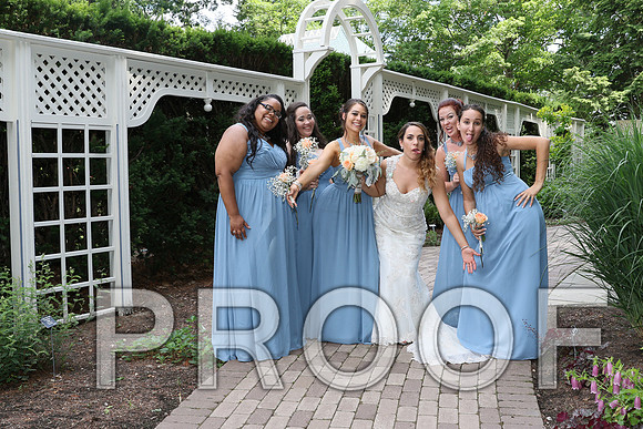 IF6A2217 / The Wedding - Bride & Groom with the Bridal Party