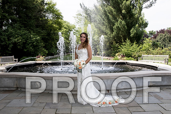 IF6A2255 aaa / The Wedding - Bride & Groom with the Bridal Party