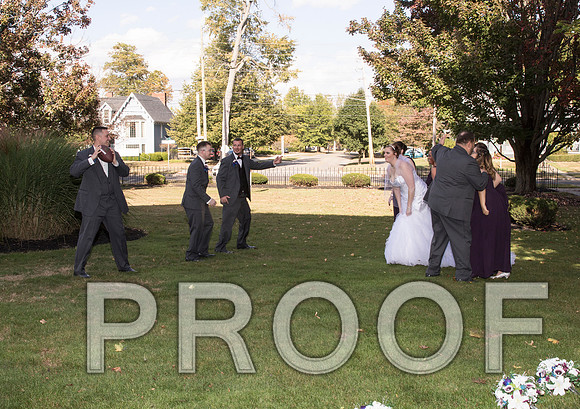 IF6A8263 aaa Wedding - Bride and groom with bridal party