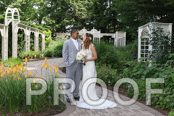 IF6A2062 / The Wedding - The Bride and Groom