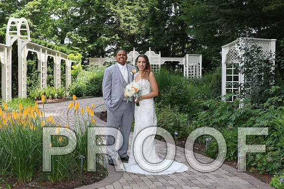 IF6A2060 / The Wedding - The Bride and Groom