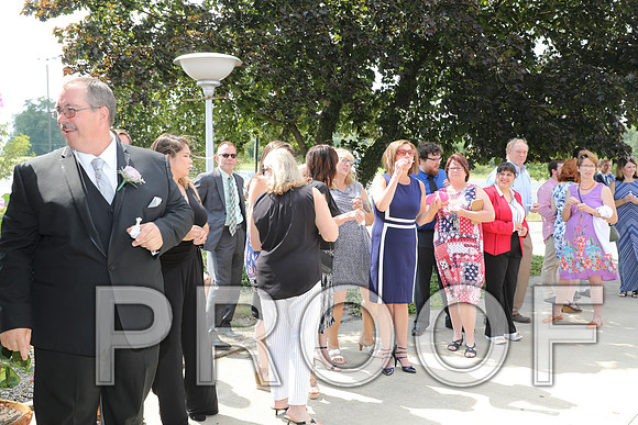 8L2A5682 Wedding - Cheers to the Bride and Groom