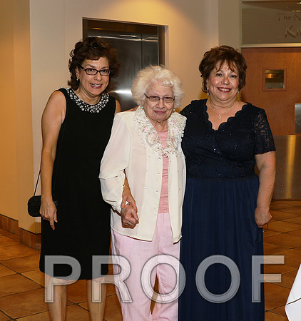 IF6A2404 / The Wedding Reception - Guests