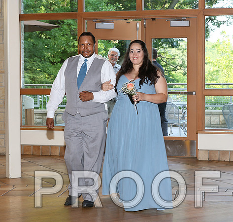 IF6A2499 / The Wedding Reception - Introducing the Bridal Party