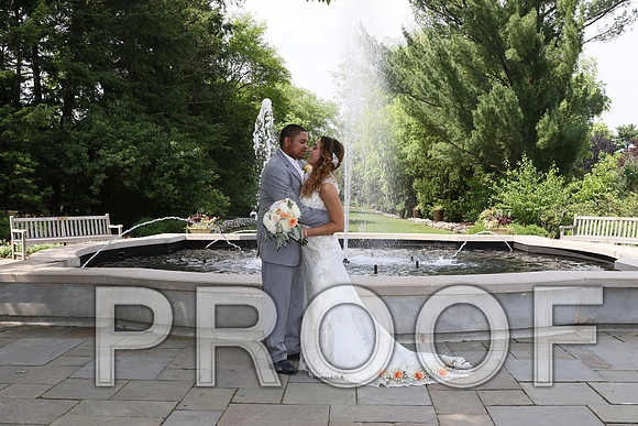 IF6A2260 / The Wedding - Bride & Groom with the Bridal Party