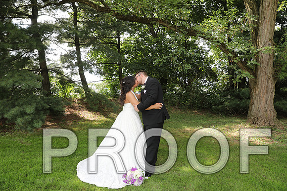8L2A5913 Wedding - Bride and Groom with the Bridal Party