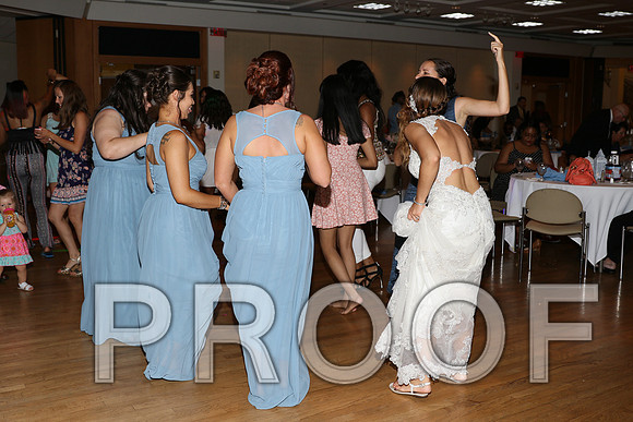 IF6A2885 / The Wedding Reception - Let the Party start
