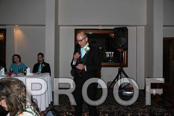8L2A1308 Wedding Toasts to the bride and groom