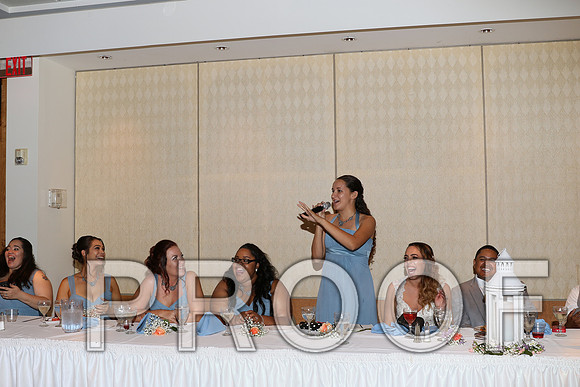 IF6A2624 / The Wedding - Toasts to the Bride and Groom