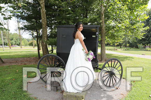 8L2A5862 Wedding - Bride and Groom with the Bridal Party