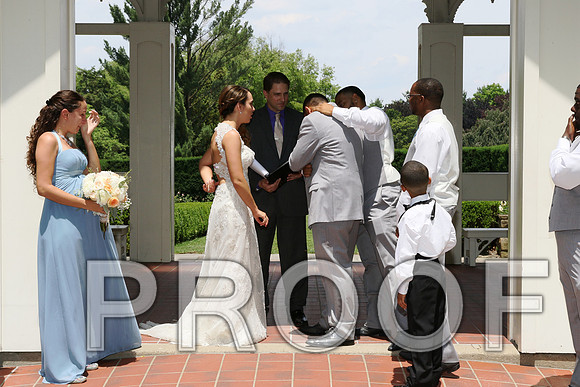 IF6A1824 / The wedding Ceremony