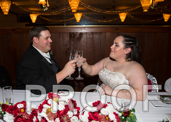 8L2A6445 aaa Wedding Photos - The Reception