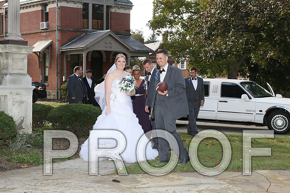 IF6A8216 Wedding - Bride and groom with bridal party