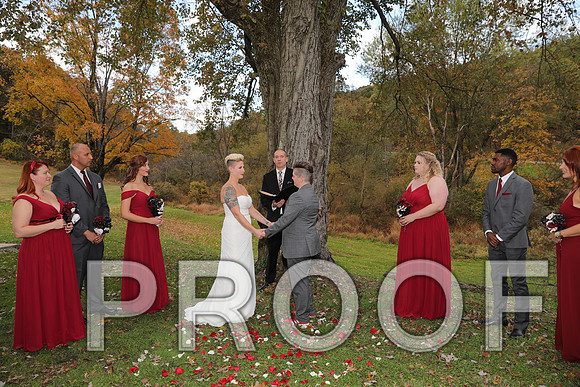 8L2A3319 Wedding Photos - The ceremony