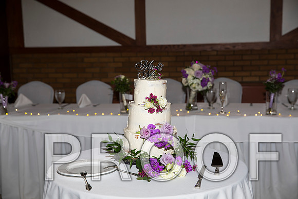 8L2A5963 aaa Wedding - Reception with Family and Friends