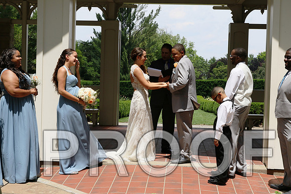 IF6A1853 / The wedding Ceremony