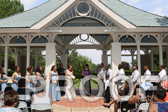 IF6A1775 / The wedding Ceremony