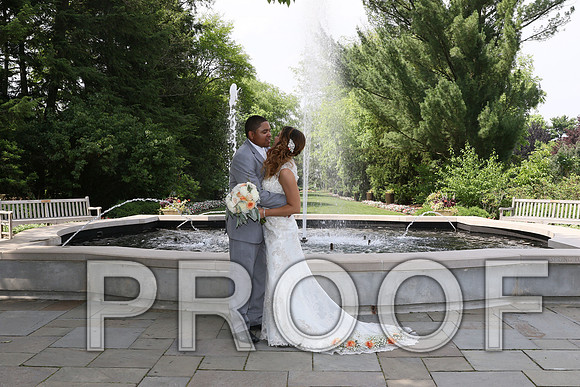 IF6A2257 / The Wedding - Bride & Groom with the Bridal Party