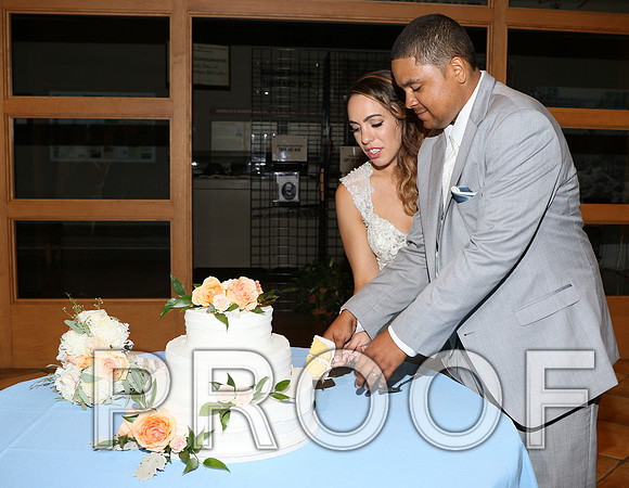 IF6A2587 / The Wedding - Cutting the Cake