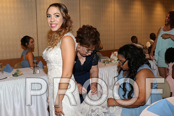 IF6A2354 / The Wedding Reception - Guests