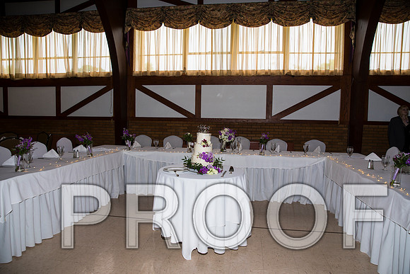8L2A5961 aaa Wedding - Reception with Family and Friends