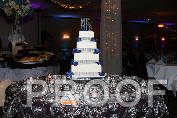 IF6A8335 Wedding Reception