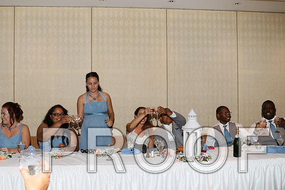 IF6A2637 / The Wedding - Toasts to the Bride and Groom