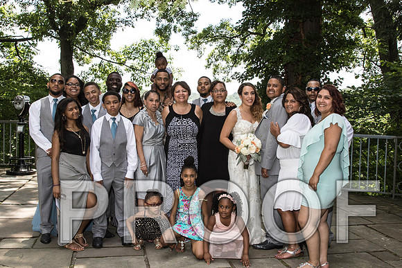 IF6A2013 aaa / The Wedding - Family Formals