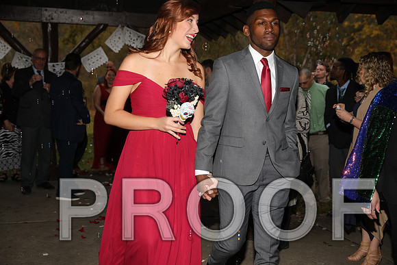 8L2A3460 Wedding Photos - The ceremony