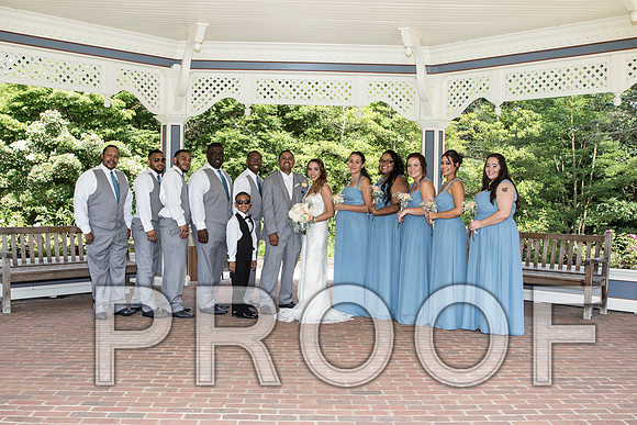 IF6A2281 aaa / The Wedding - Bride & Groom with the Bridal Party
