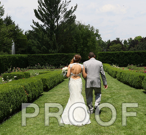 IF6A1919 / The wedding Ceremony