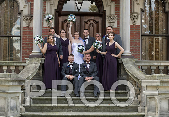 IF6A8242 aaa Wedding - Bride and groom with bridal party