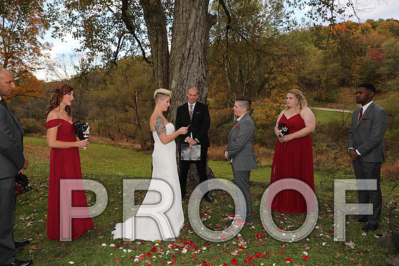 8L2A3384 Wedding Photos - The ceremony