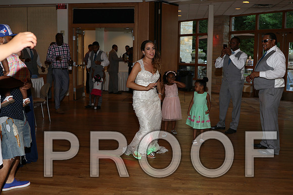IF6A2782 / The Wedding Reception - Let the Party start