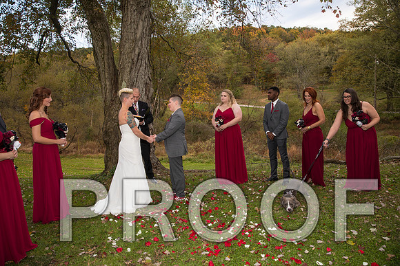 8L2A3322 aaa Wedding Photos - The ceremony