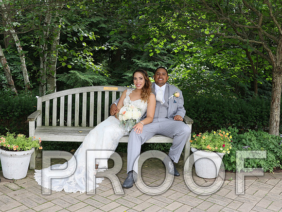 IF6A2040 / The Wedding - The Bride and Groom