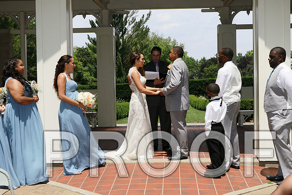 IF6A1846 / The wedding Ceremony