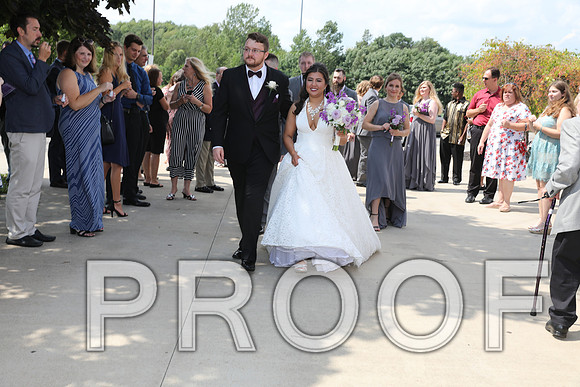 8L2A5725 Wedding - Cheers to the Bride and Groom