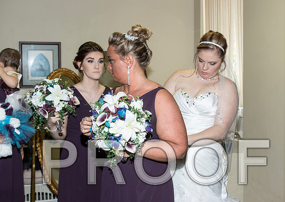 IF6A7824 aaa Wedding - Bride with family and bridesmaids
