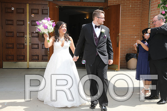 8L2A5700 Wedding - Cheers to the Bride and Groom