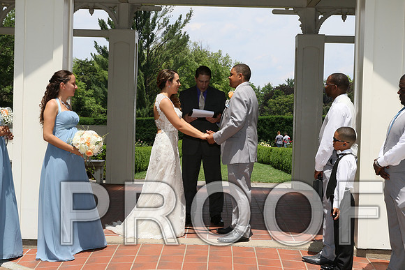 IF6A1799 / The wedding Ceremony