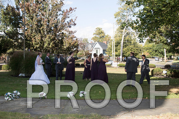 IF6A8268 aaa Wedding - Bride and groom with bridal party