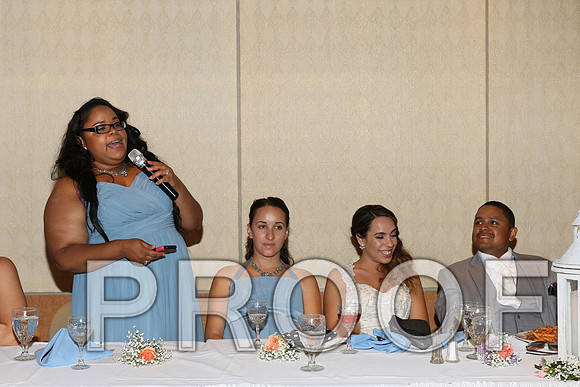 IF6A2690 / The Wedding - Toasts to the Bride and Groom
